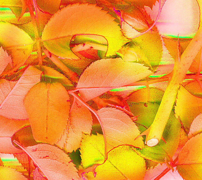 All original art on this blog ©Joan Waters, unless noted otherwise.